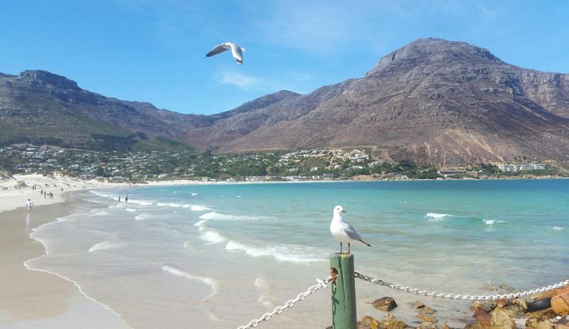 3 Bedroom Property for Sale in Hout Bay Western Cape